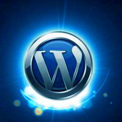 professional Wordpress Development