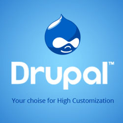 professional Drupal Development
