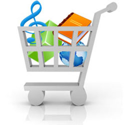 professional Ecommerce Solutions